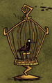 Crow imprisoned in a Birdcage.