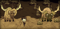 A screenshot of the beta update that added Beefalo shaving.