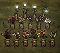able Vase all Flower variants