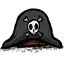Pirate Hat.png