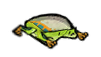 A dead poison dartfrog.