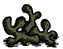 Old Lichen icon