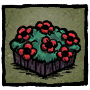 Loyal Camellia Flowerbed Set your profile icon to the Camellia Flowerbed.