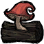 Mushroom Planter