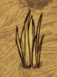 A Grass Tuft in game.