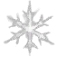 A winter snowflake.