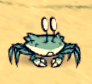 A Crabbit on land.
