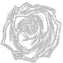 A rose-shaped special snowflake.