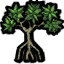 Mangrove Tree
