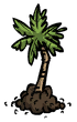 A Palm Tree sapling.