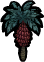 Palmcone Tree