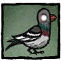Woven - Common Pigeon Set your profile icon to a curious city pigeon.