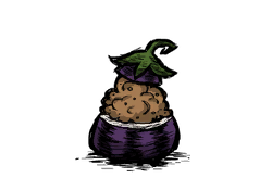 Stuffed Eggplant/DST