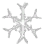 A winter snowflake.
