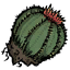 Dug Cactus.png