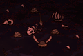 Boon with Beefalo Fur and Beefalo Hat after a Hound attack.