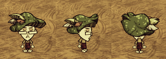 Wickerbottom wearing a Green Funcap.