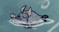 A sleeping Dogfish.