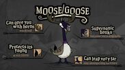 Moose/Goose in Don't Starve New Home teaser