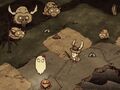 All four life cycle stages of Beefalo.