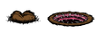 teleporter_worm.png