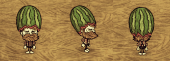 Woodie wearing a Fashion Melon.