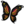 Butterfly Wings.png