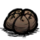 Cooked Seed Pod.png