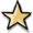 Star Icon.png