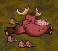A dead Hippopotamoose.