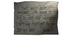 Sarah's Note