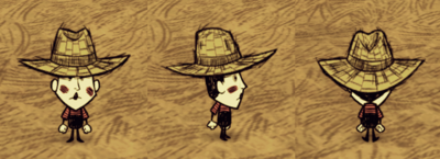 Straw Hat Wes.png