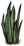 SW Grass Tuft.png