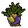 Giant Carrots.png