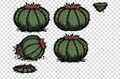Cactus in the game files.