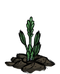 Asparagus Fern Small.png