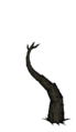 Tentacle root.png