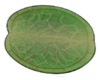 Lily Pad.png