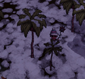 Palm trees covered in snow in Adventure Mode.