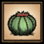 Cactus Settings Icon.png