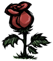 Maxwell next to a Rose.