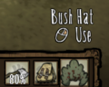 Activating the Bush Hat.