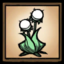 Light Flower Settings Icon.png