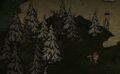 A Totally Normal Tree surrounded by Petrified Trees in Don't Starve Together.