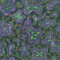 Mutated Fungal Turf Texture.png