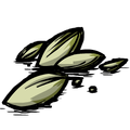 Original HD Seeds icon from Bonus Materials from CD Don't Starve.