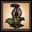 Exotic Flower Settings Icon.png