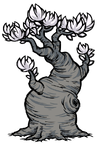 Lune Tree.png