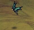 A Butterfly as seen in the Shipwrecked DLC.
