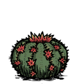 Cactus with flowers.
